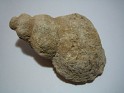 Unknown  Tunisia. Uploaded by Granotius